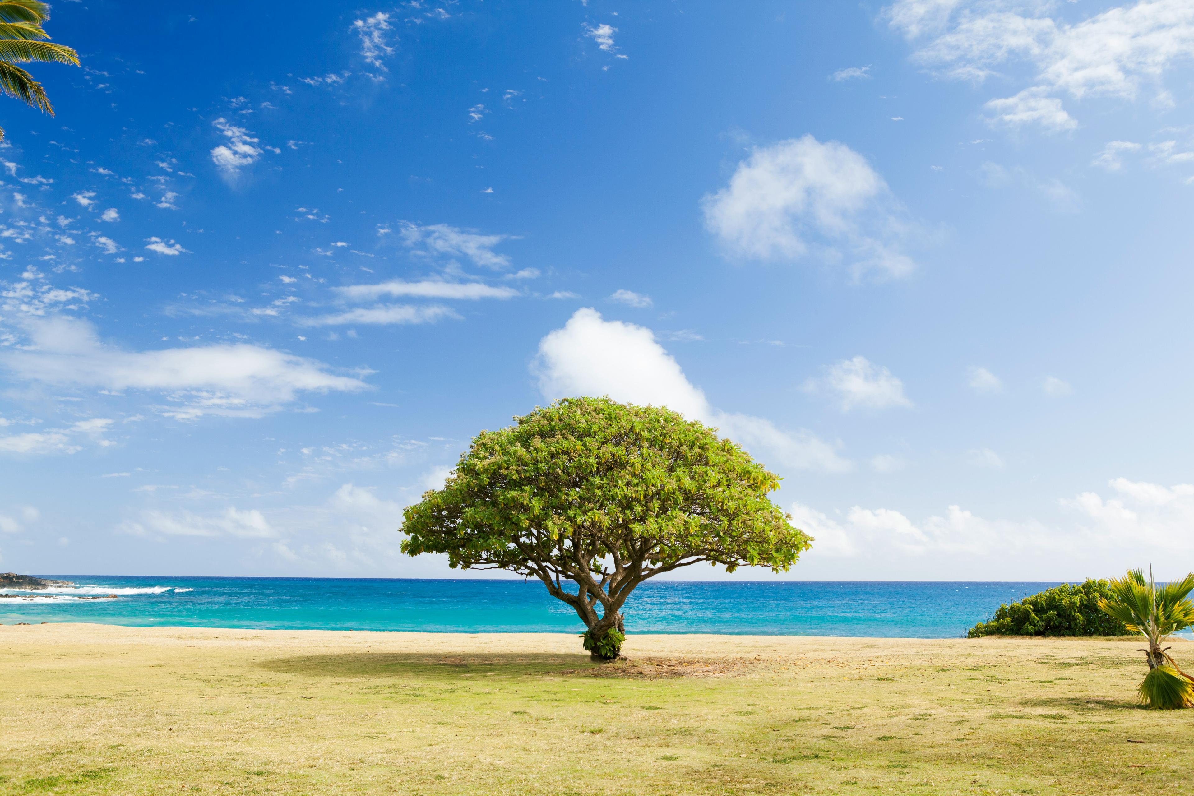 ESG, Climate & Sustainability Advisory